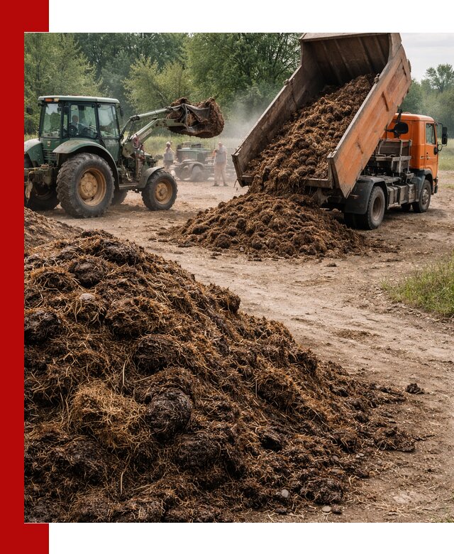 Доставка навоза самосвалами в Костроме для сельхозпотребностей